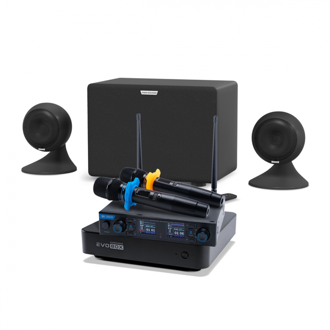 караоке-комплект EVOBOX + EvoSound Sphere 2.1 в Лангепасе