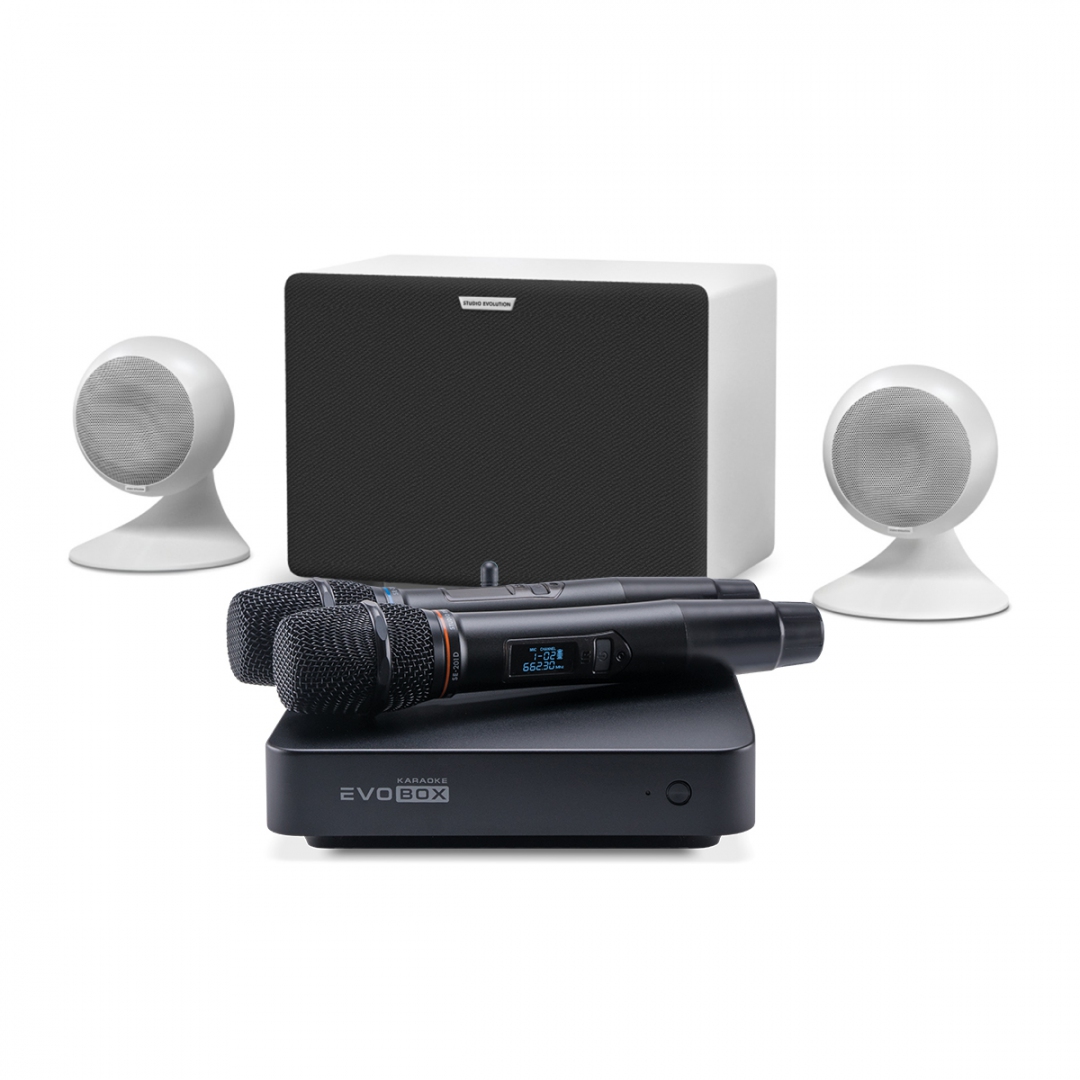 караоке-комплект EVOBOX Classic + EvoSound Sphere 2.1 в Лангепасе