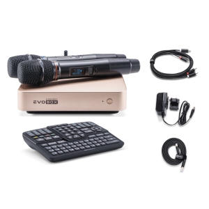 EVOBOX Classic караоке-система для дома в Лангепасе