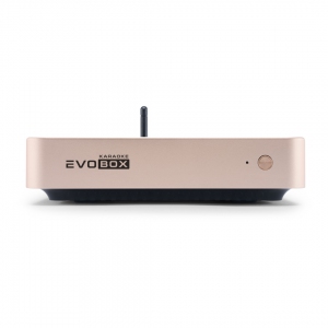 EVOBOX Plus караоке-система для дома в Лангепасе