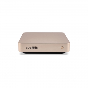 EVOBOX с микрофонами в Лангепасе